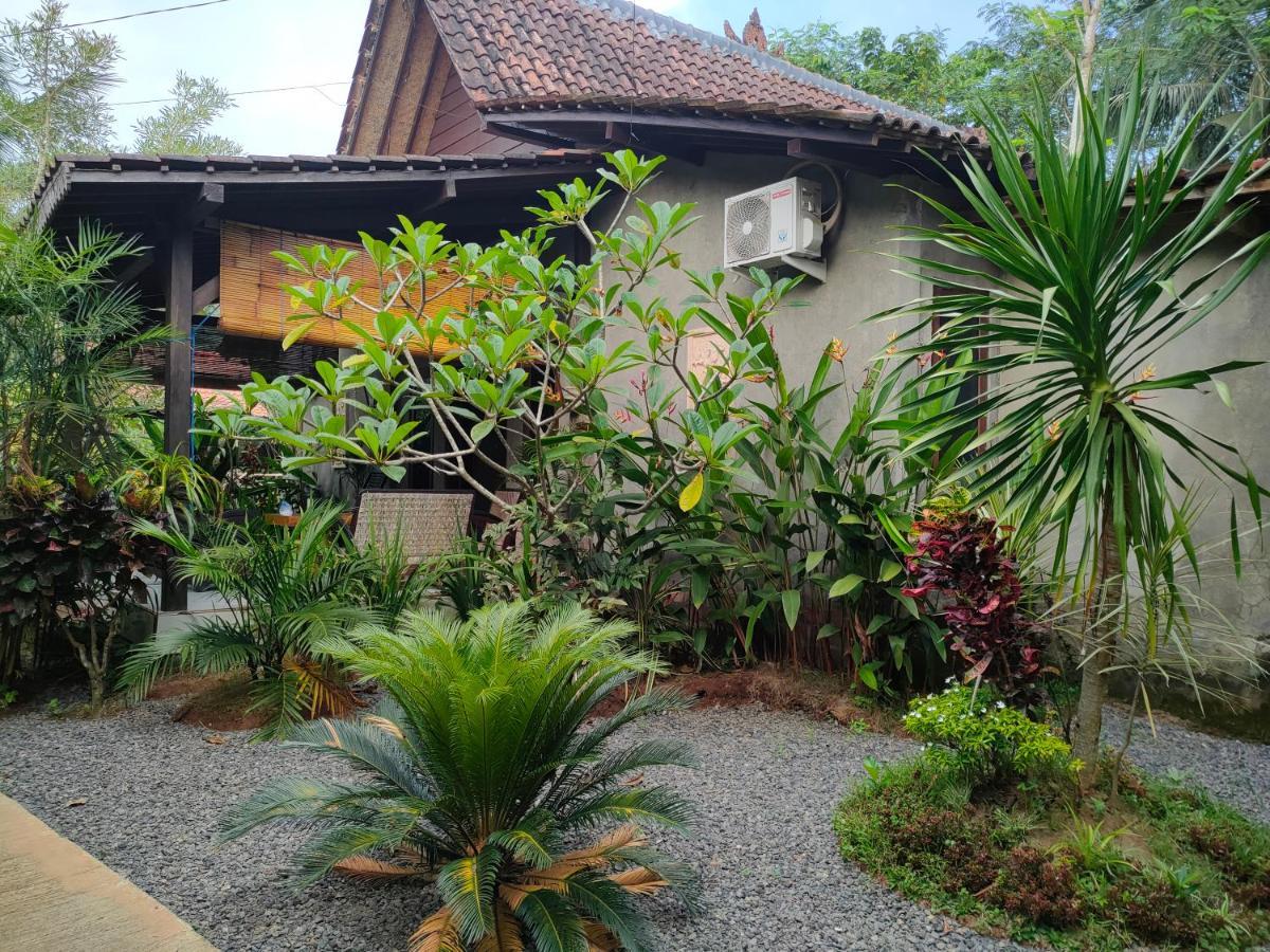 Java Turtle Lodge Meru Betiri Banyuwangi  Extérieur photo