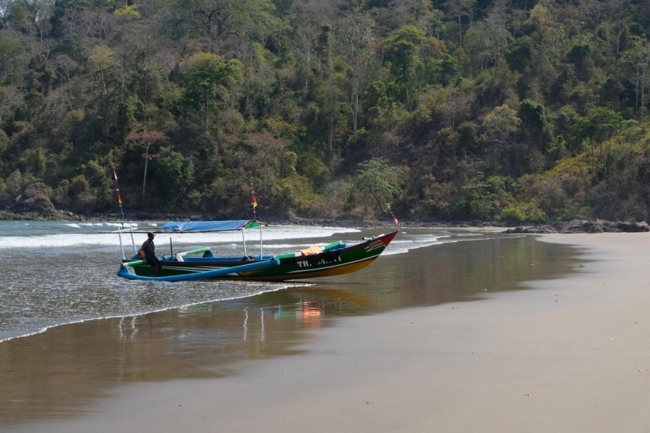Java Turtle Lodge Meru Betiri Banyuwangi  Extérieur photo